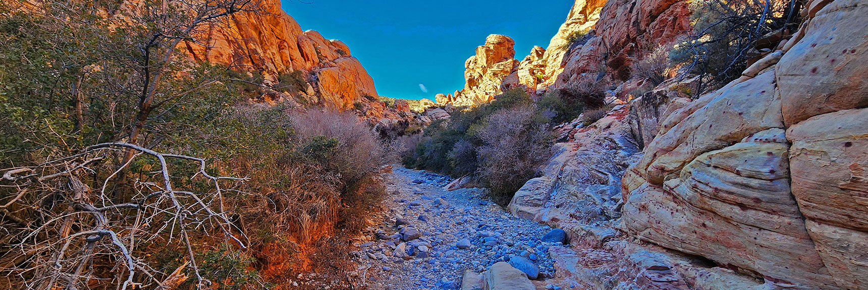 Continuing Along Wash. Lower Calico Hills to the Left | Lower Calico Hills Loop | Calico Basin & Red Rock Canyon, Nevada