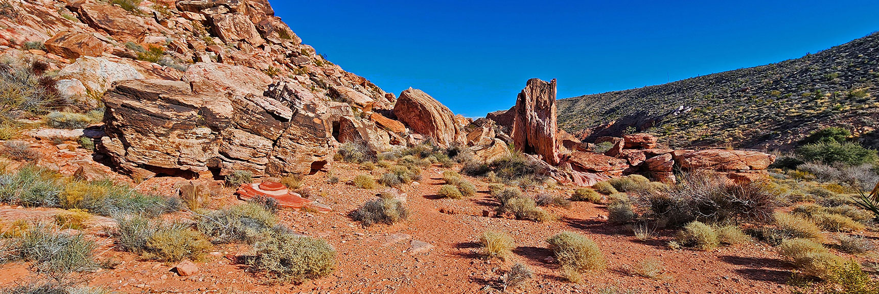 This Rock Formation Ahead Looks Like a Tree Trunk. Has Passages Within | Lower Calico Hills Loop | Calico Basin & Red Rock Canyon, Nevada
