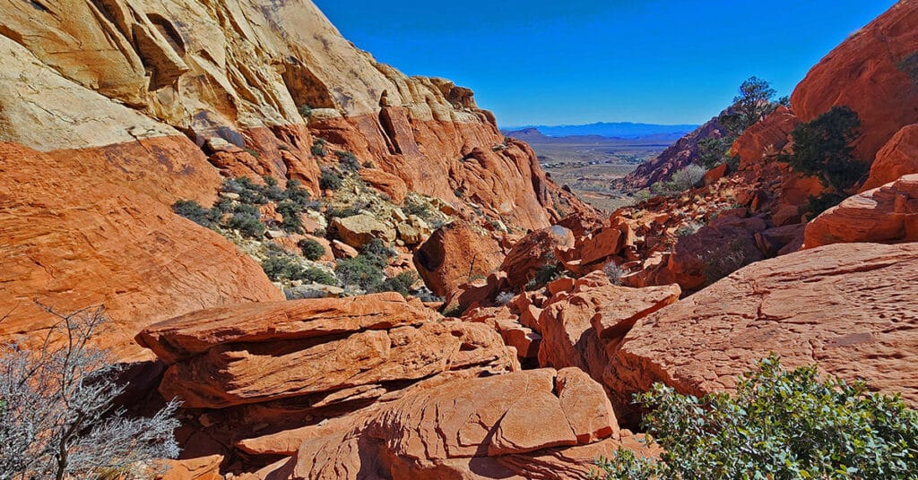 Pink Goblin Loop | Calico Basin, Nevada
