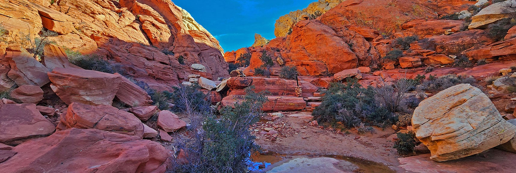 Continuing Upward Toward the Upper Calico Tank and Spectacular Viewpoint Beyond | Upper Calico Hills Loop | Calico Basin and Red Rock Canyon, Nevada