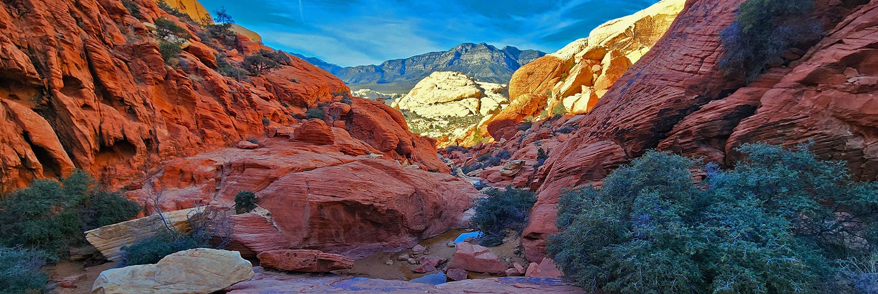 Nearing the Lower Calico Tanks Trail | Upper Calico Hills Loop | Calico Basin and Red Rock Canyon, Nevada