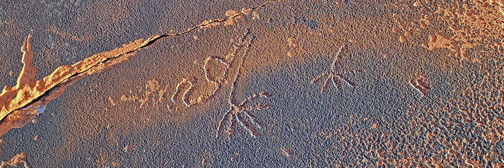 Enigmatic Petroglyphs...Meaning Unknown | Upper Calico Hills Loop | Calico Basin and Red Rock Canyon, Nevada
