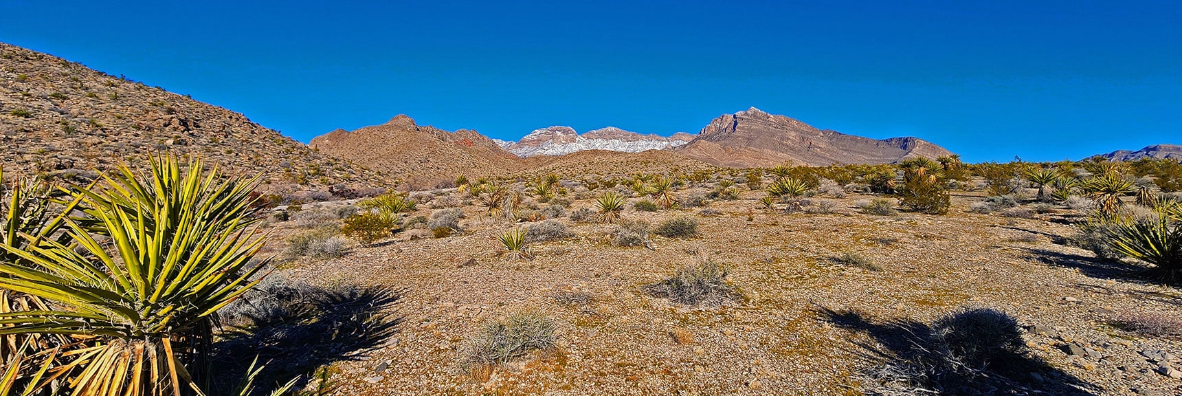 Target Course in View! Head Toward Snow Covered La Madre Cliffs | Brownstone Trail | Calico Basin | Brownstone Basin | La Madre Mountains Wilderness, Nevada