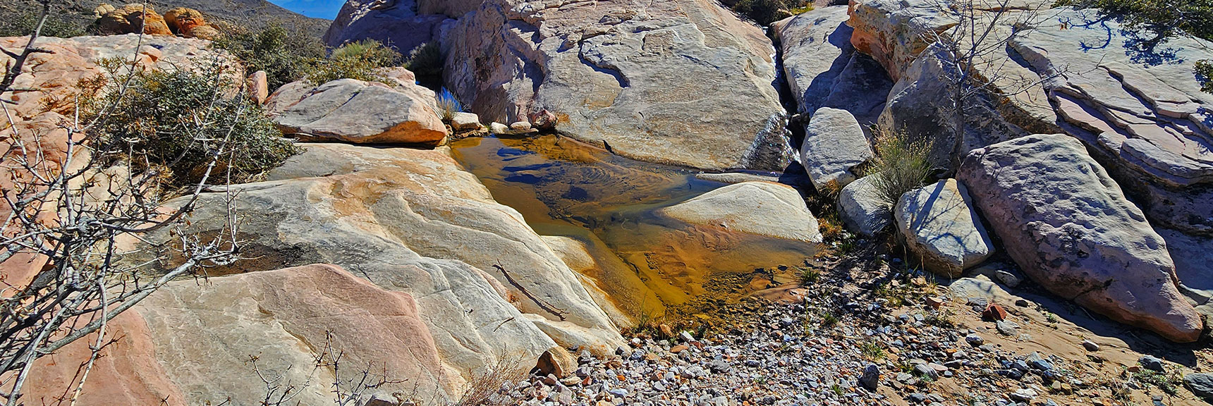 Ephemeral Pool Just Beyond the Upper End of Gray Cap Ridge | Brownstone Trail | Calico Basin | Brownstone Basin | La Madre Mountains Wilderness, Nevada