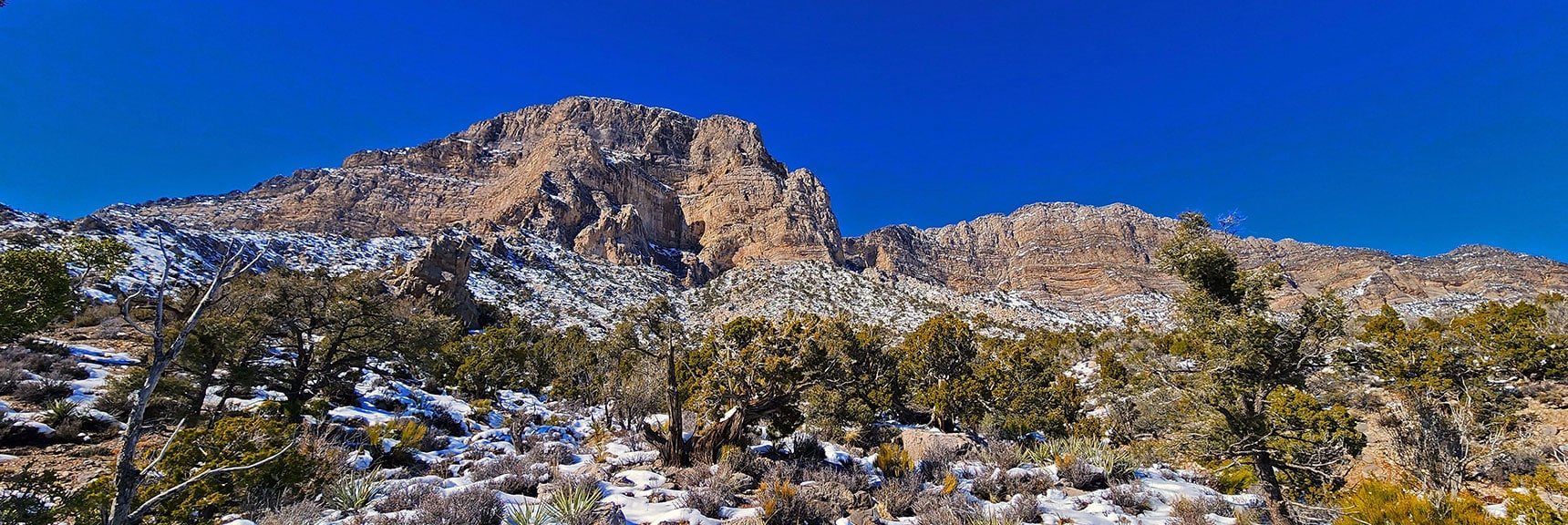 Above Brownstone Trail Summit. 13 Miles/3,000ft Elevation Above Gene's Trailhead. | Brownstone Trail | Calico Basin | Brownstone Basin | La Madre Mountains Wilderness, Nevada