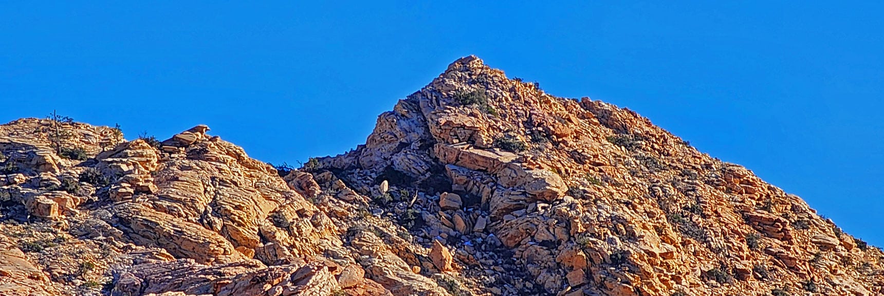 Gray Cap Peak Final Summit Approach Looks Steep (to right of peak)!! | Brownstone Trail | Calico Basin | Brownstone Basin | La Madre Mountains Wilderness, Nevada