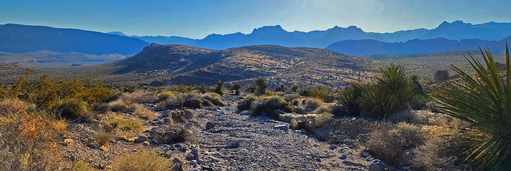 Calico Basin Peak 3844 is High Point on Hill Below.| Brownstone Trail | Calico Basin | Brownstone Basin | La Madre Mountains Wilderness, Nevada
