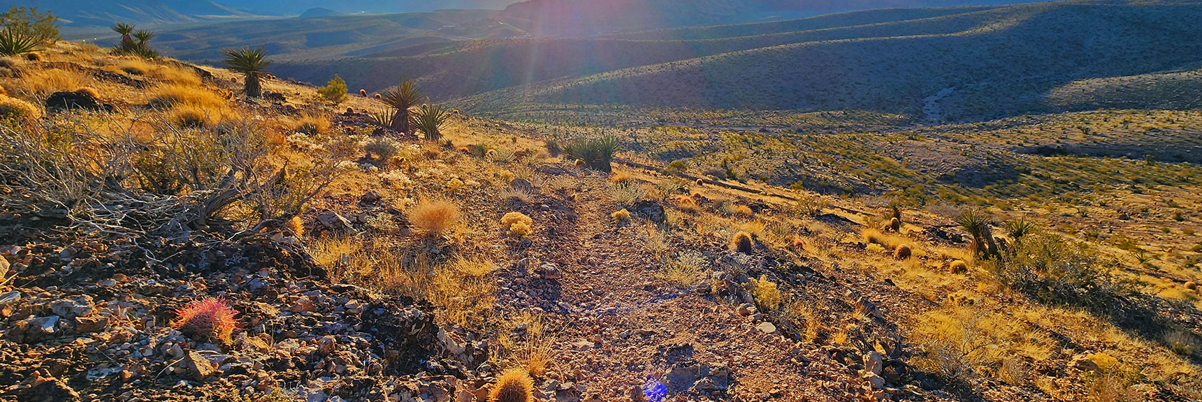 Hard Left at Base of Switchbacks Continues Peak 3844 Loop Descent to Gene's Trail | Brownstone Trail | Calico Basin | Brownstone Basin | La Madre Mountains Wilderness, Nevada