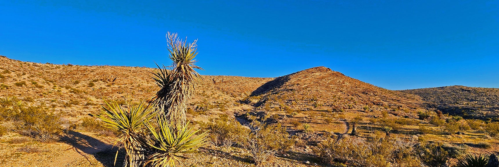 View Back to Peak 3844 from Gene's Trail | Brownstone Trail | Calico Basin | Brownstone Basin | La Madre Mountains Wilderness, Nevada