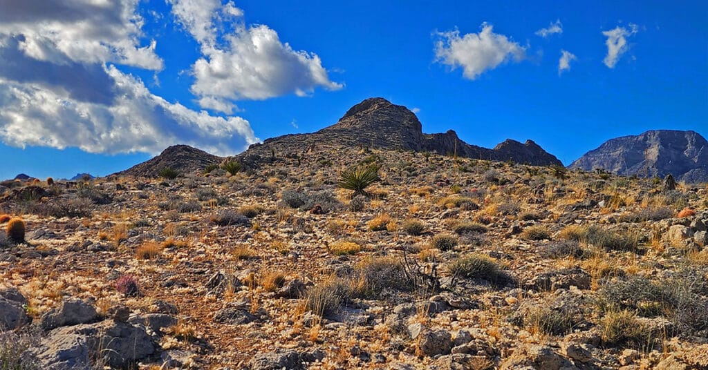 Gray Cap Ridge Southeast Summit | La Madre Mountains Wilderness, Nevada