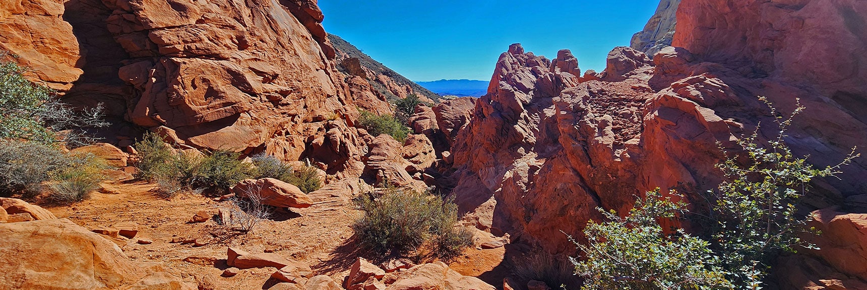 Like Passing Through an Elaborate Bonsai Garden | Pink Goblin Loop | Calico Basin, Nevada