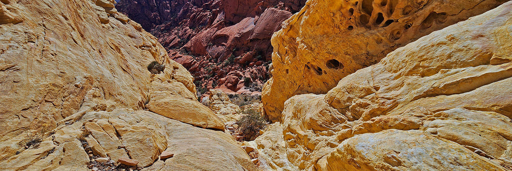 Steep Descent, But Not Too Difficult. | Pink Goblin Loop | Calico Basin, Nevada