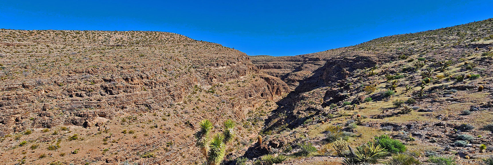 View Up the Canyon. Still Huge, Majestic, Worthy of Exploration. | Blue Diamond Hill Southern Ridgelines | Red Rock Canyon, Nevada