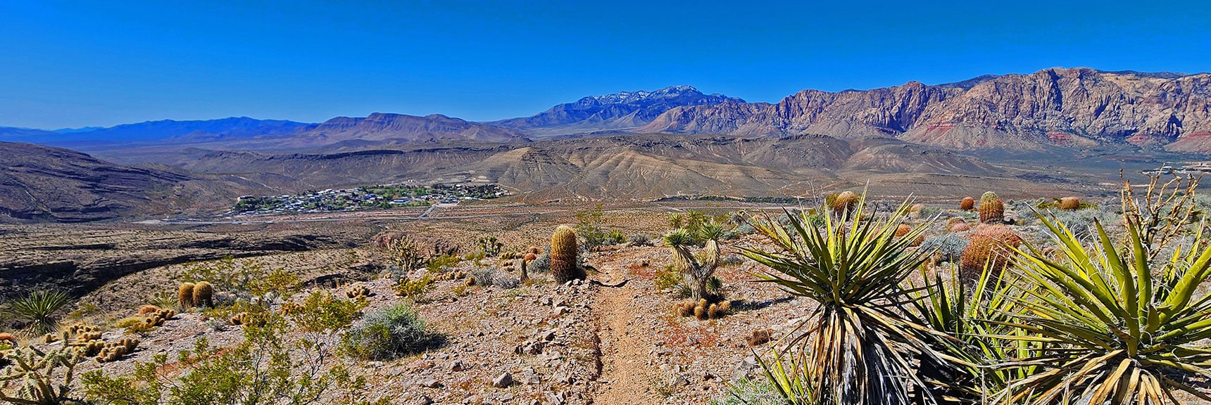 Looking Down Toward Blue Diamond Town. These Hills Are a Beautiful Desert Garden! | Blue Diamond Hill Southern Ridgelines | Red Rock Canyon, Nevada