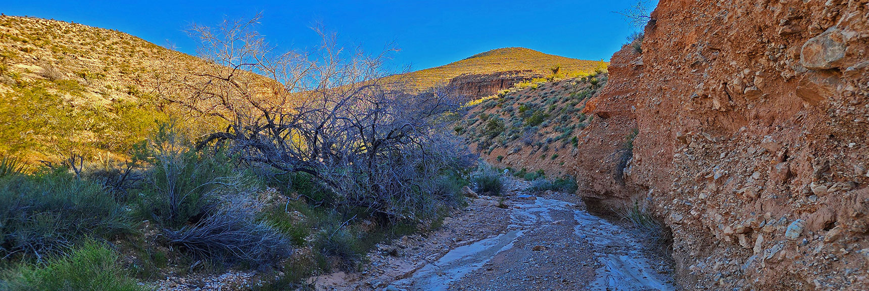 Canyon Rapidly Deepening. 200ft Walls in Sight Just Ahead. | Blue Diamond Hill Southern Triangle | Red Rock Canyon National Conservation Area, Nevada