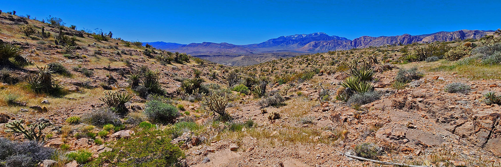Descending Larger Canyon Leading to Upside-Down Triangle Apex Below. | Blue Diamond Hill Southern Triangle | Red Rock Canyon National Conservation Area, Nevada