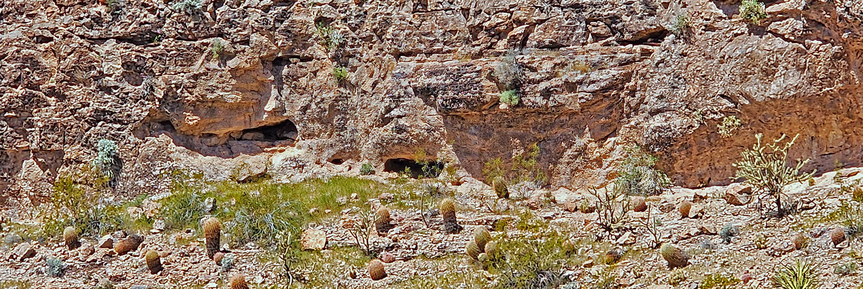Two More Caves in the Limestone Walls Ahead. On a Mid-Level, Hard to Access. | Blue Diamond Hill Southern Triangle | Red Rock Canyon National Conservation Area, Nevada