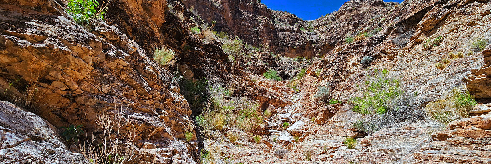 View Back Up the Canyon to Larger Dry Fall, Easily Navigated. | Blue Diamond Hill Southern Triangle | Red Rock Canyon National Conservation Area, Nevada