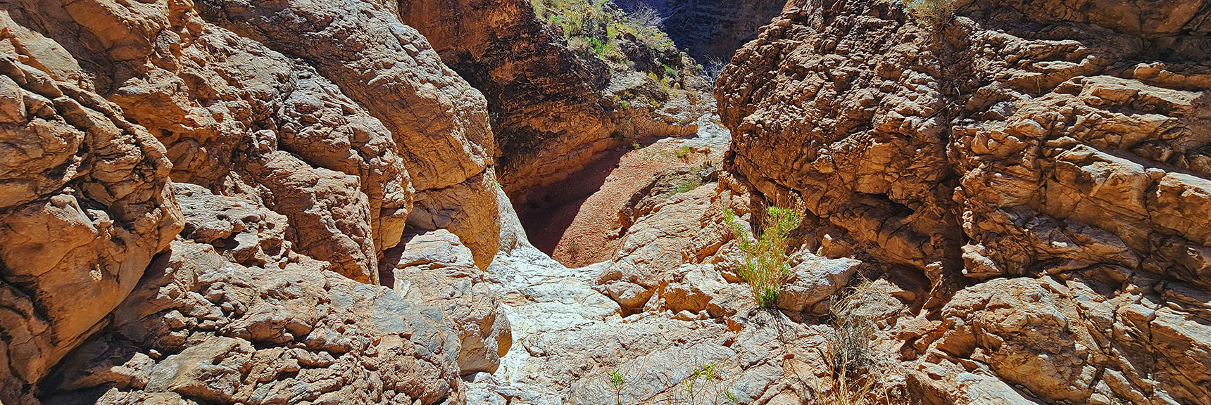 This Time I Climb the Barrier and Continue Back to the Canyon Summit. | Blue Diamond Hill Southern Triangle | Red Rock Canyon National Conservation Area, Nevada