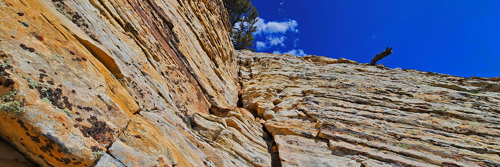 Fun, Beautiful But Unfamiliar Terrain and Style | Red Rock Search and Rescue, Nevada | Saved Me from Serious Heat Exhaustion & Dehydration
