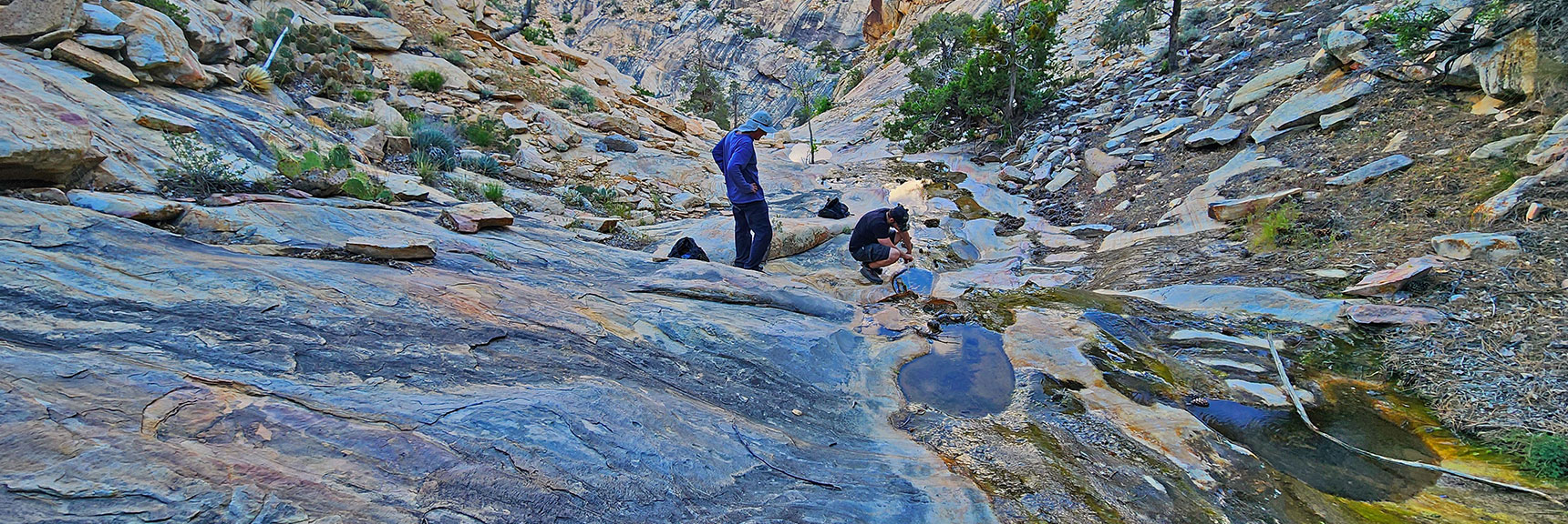 Unprepared But Necessary to Spend a Cold Sleepless Night in the Canyon | Red Rock Search and Rescue, Nevada | Saved Me from Serious Heat Exhaustion & Dehydration