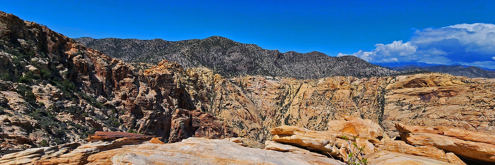Upper Crest Ridgeline from Black Velvet Peak | Black Velvet Peak | Rainbow Mountain Wilderness, Nevada