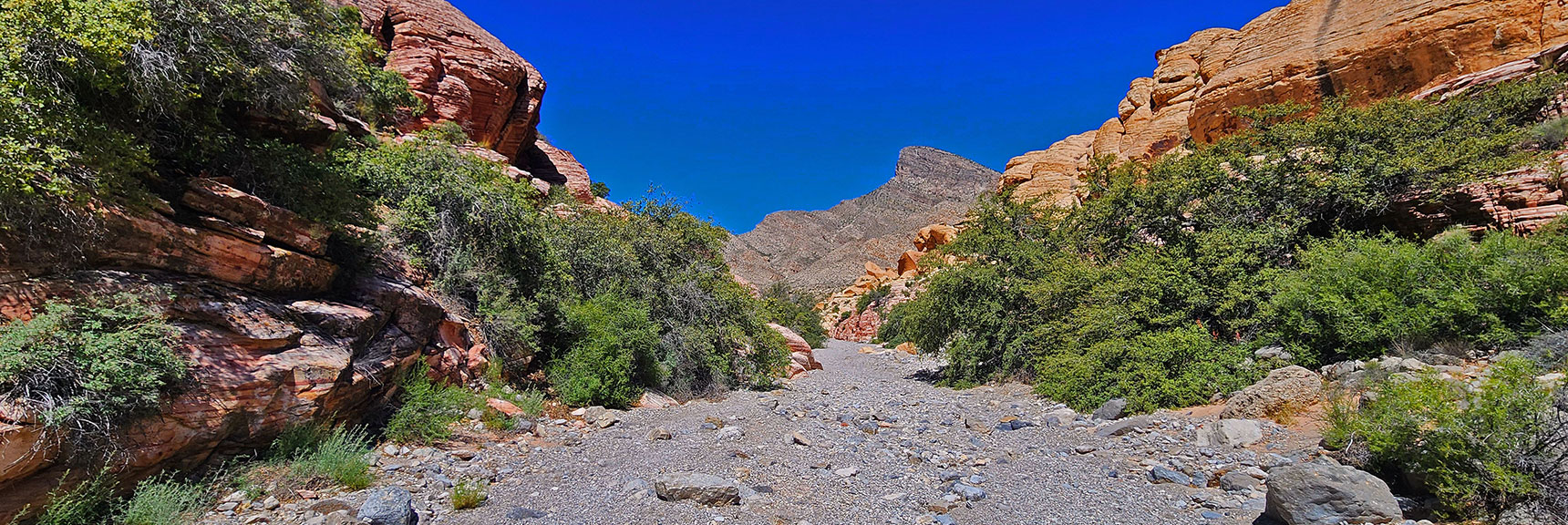 Emerge into Mid-Gateway Canyon at the North Edge of Kraft Mountain | Gateway Canyon, Gray Cap Ridge, Brownstone Basin | Calico & Brownstone Basins, Nevada