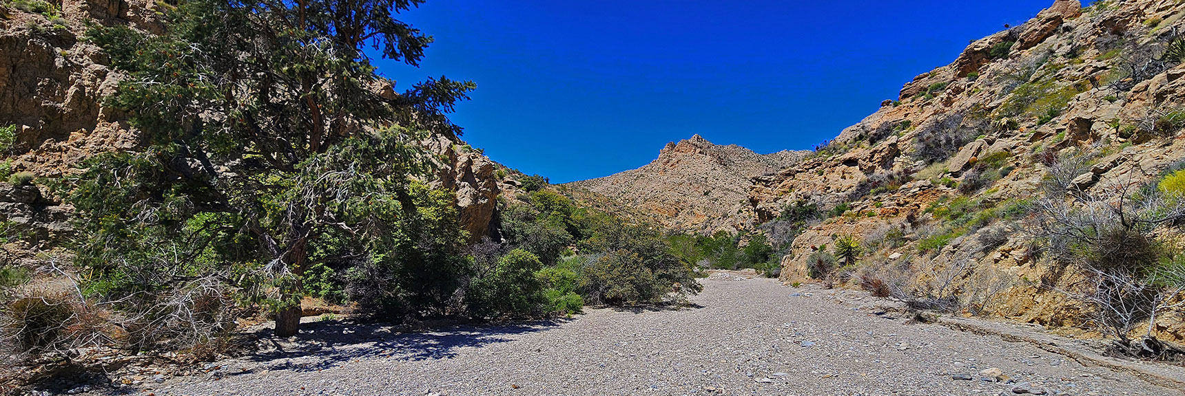 Mid Gateway Canyon Terrain is Open, Wide Until You Hit the Limestone Area | Gateway Canyon, Gray Cap Ridge, Brownstone Basin | Calico & Brownstone Basins, Nevada
