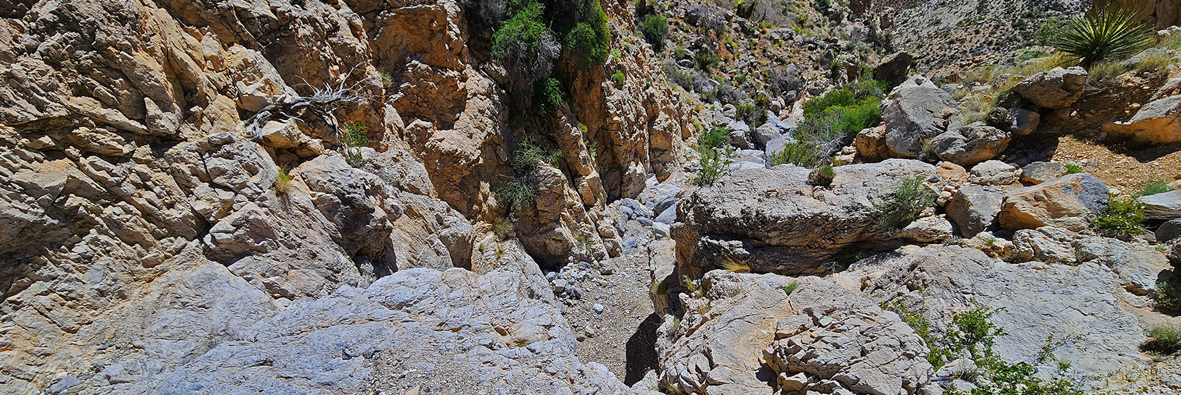 Looking Back from the Summit of That Dry Fall | Gateway Canyon, Gray Cap Ridge, Brownstone Basin | Calico & Brownstone Basins, Nevada