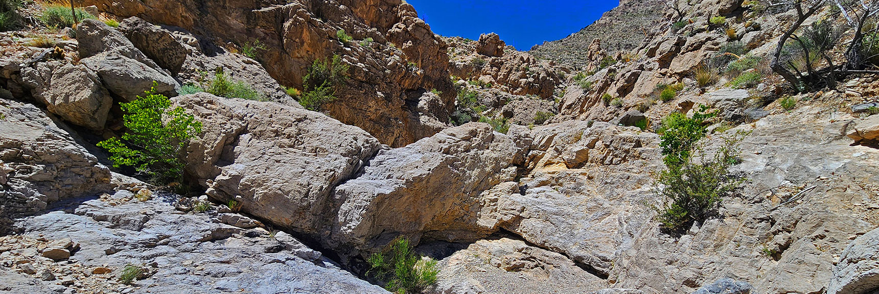 More Limestone Boulders and Ledges to Navigate. Challenging, Fun! | Gateway Canyon, Gray Cap Ridge, Brownstone Basin | Calico & Brownstone Basins, Nevada