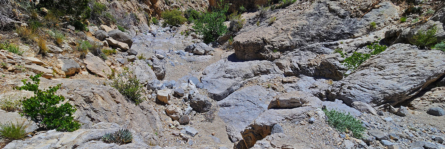 View Down from the Next Dry Fall Summit | Gateway Canyon, Gray Cap Ridge, Brownstone Basin | Calico & Brownstone Basins, Nevada