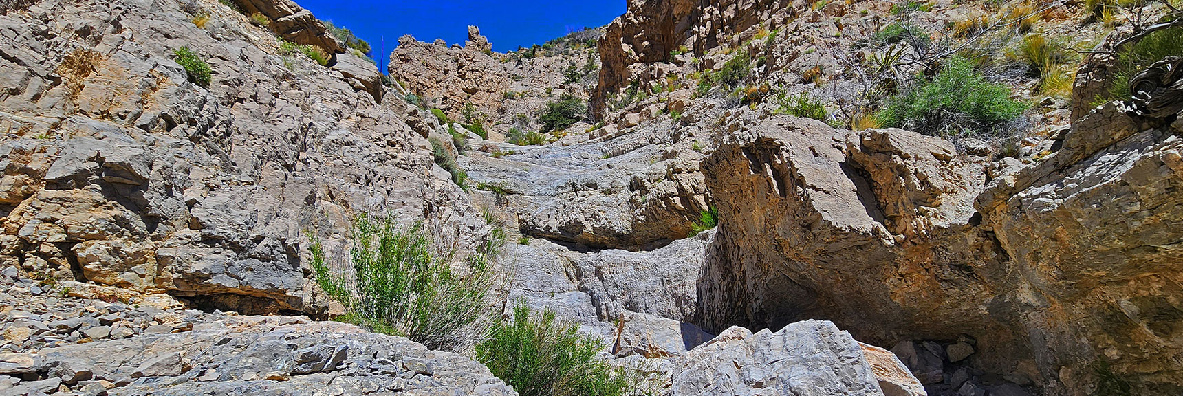 The Barriers are Taller and More Frequent | Gateway Canyon, Gray Cap Ridge, Brownstone Basin | Calico & Brownstone Basins, Nevada