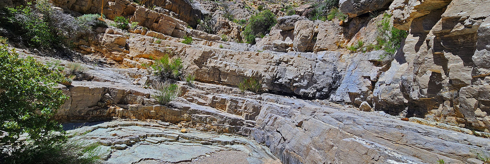 Next Terraced Barrier Ahead and the Canyon Ascends to Each Higher Level | Gateway Canyon, Gray Cap Ridge, Brownstone Basin | Calico & Brownstone Basins, Nevada