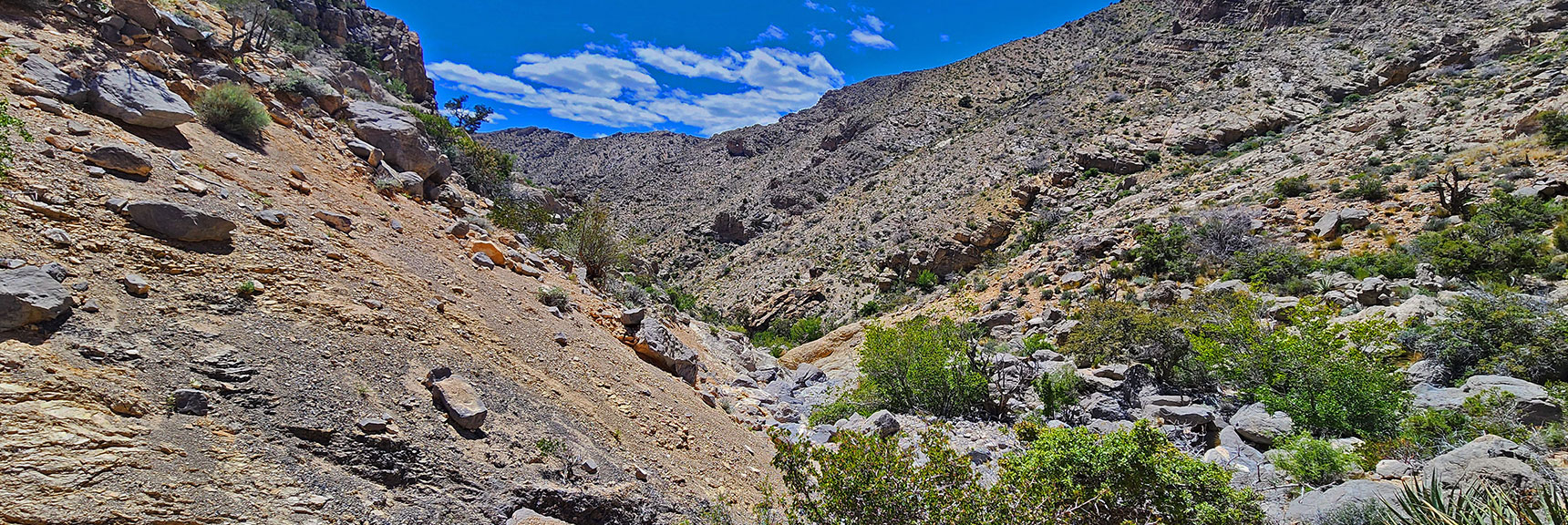 View Down the Opening of Upper Gateway Canyon | Gateway Canyon, Gray Cap Ridge, Brownstone Basin | Calico & Brownstone Basins, Nevada