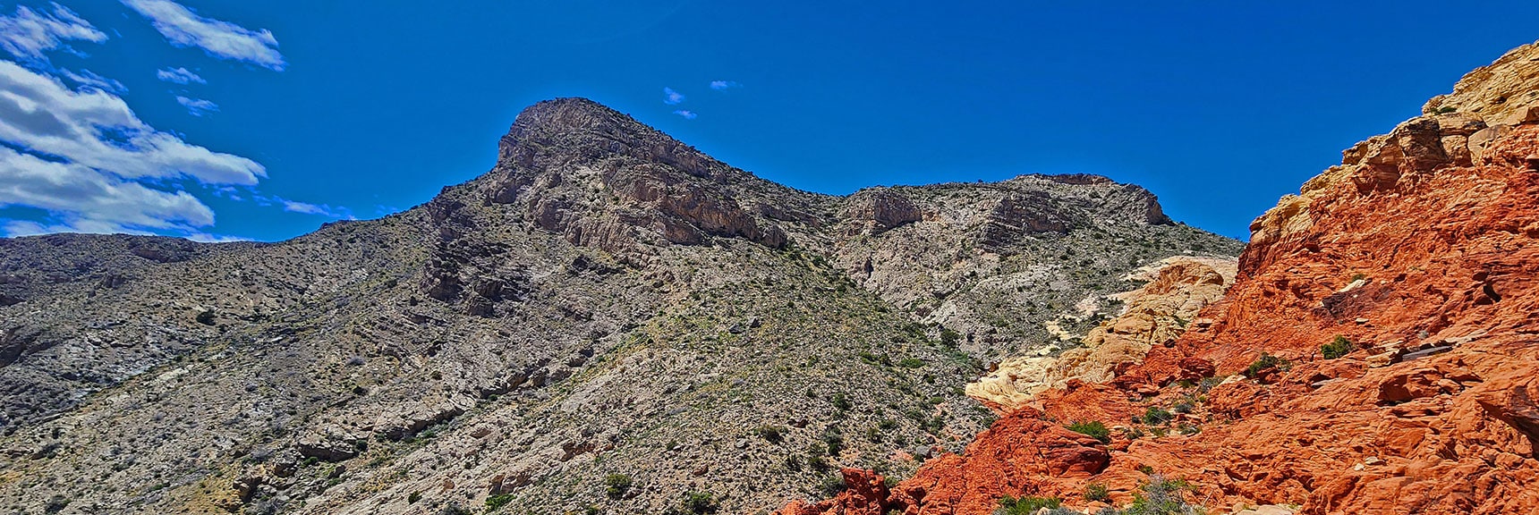 View Back to Turtlehead Peak. It's a Different Look from This Perspective | Gateway Canyon, Gray Cap Ridge, Brownstone Basin | Calico & Brownstone Basins, Nevada