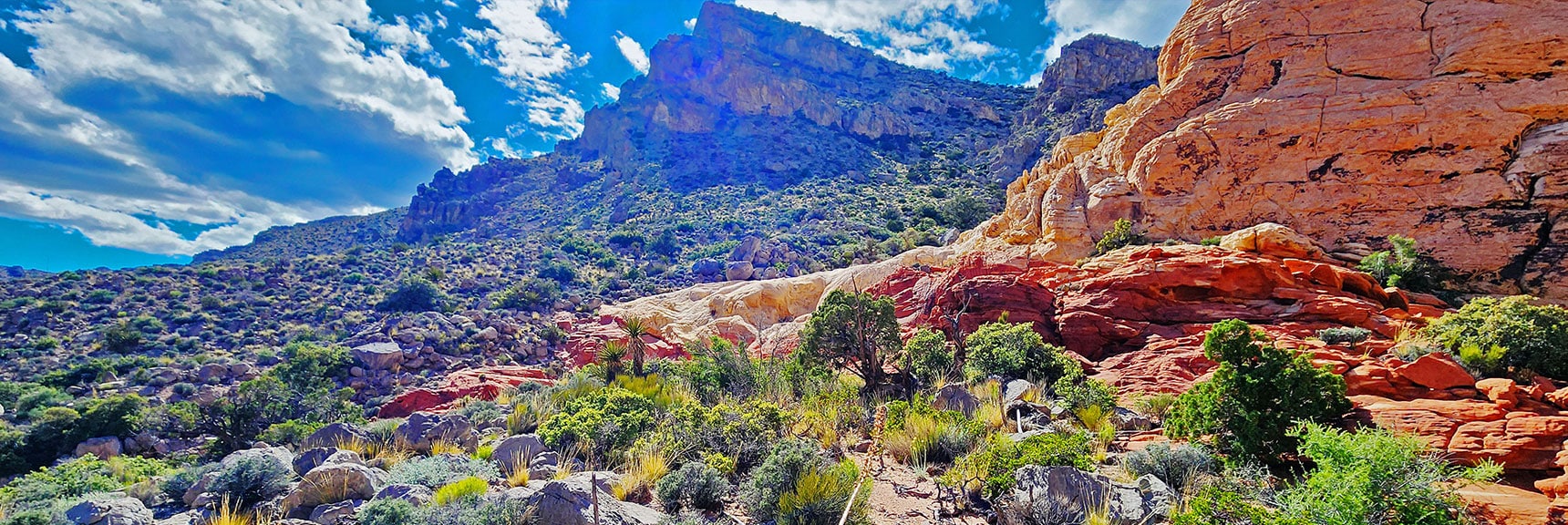 Beautiful Sandstone Terrain with Turtlehead Peak Background | Gateway Canyon, Gray Cap Ridge, Brownstone Basin | Calico & Brownstone Basins, Nevada
