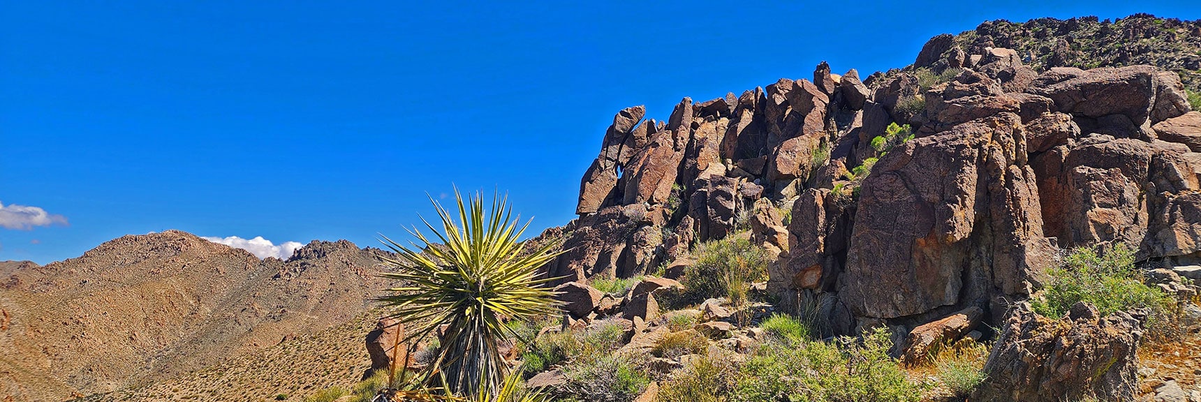 Final Summit Approach. More Sculpted Pillars | Wilson Summit, Arizona (near Lake Mead NRA)