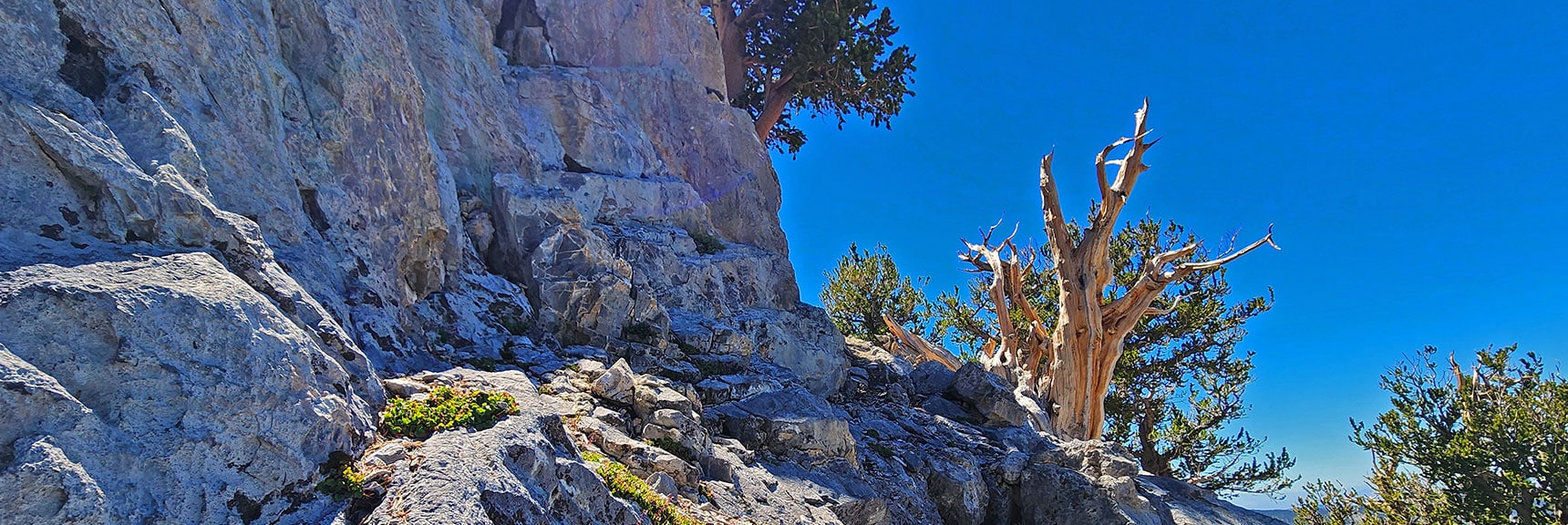 Mummy's Nose Final Summit Approach from Deer Creek Road | Mt. Charleston Wilderness, Nevada