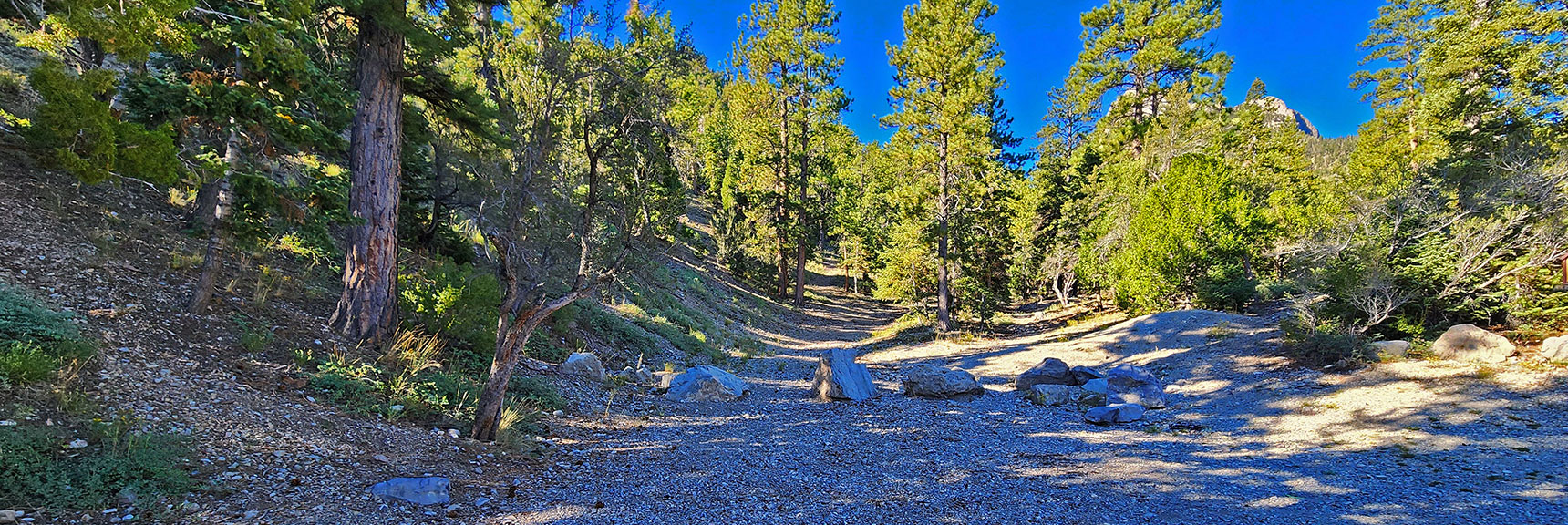 Cross Deer Creek Rd from Trailhead. Begin on Road to Left. | Mummy's Nose Final Summit Approach from Deer Creek Road | Mt. Charleston Wilderness, Nevada