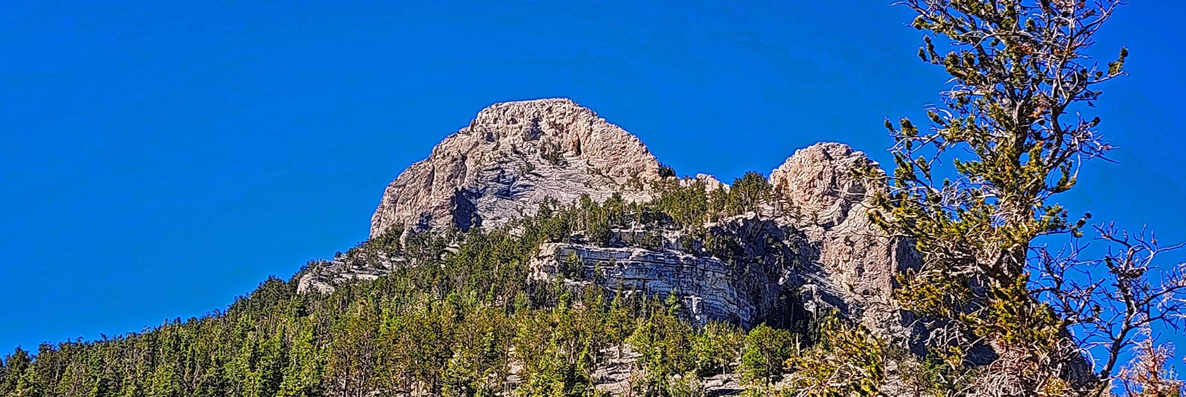 Summit Approach: Round Left Side of Ledge, Then Right Side of Large Summit Bulge. | Mummy's Nose Final Summit Approach from Deer Creek Road | Mt. Charleston Wilderness, Nevada