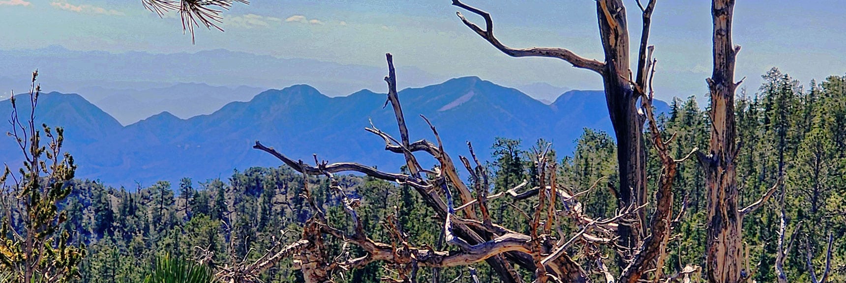 View Across to La Madre Mountains. Lighter Limestone Area is "Devil's Slide". | Mummy's Nose Final Summit Approach from Deer Creek Road | Mt. Charleston Wilderness, Nevada