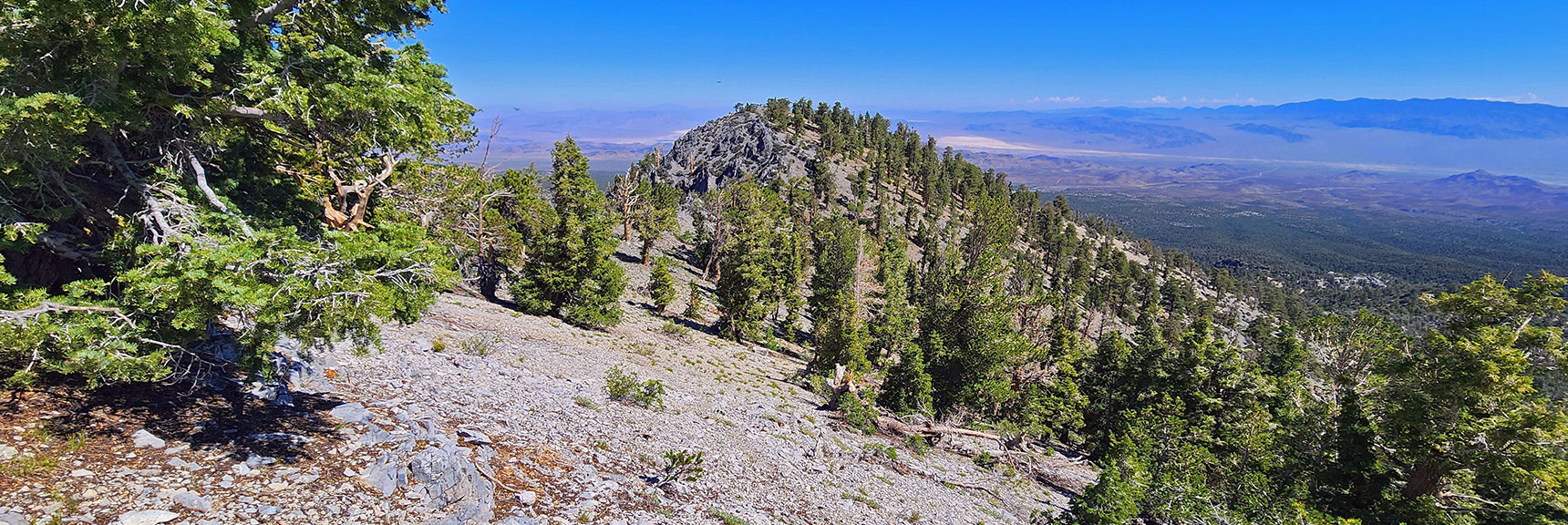 View Down the Western Ridgeline. | Mummy's Nose Final Summit Approach from Deer Creek Road | Mt. Charleston Wilderness, Nevada