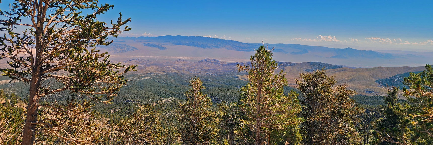 View Down Main Canyon (Seven-Mile Canyon) to Sheep Range and Gass Peak | Mummy's Nose Final Summit Approach from Deer Creek Road | Mt. Charleston Wilderness, Nevada