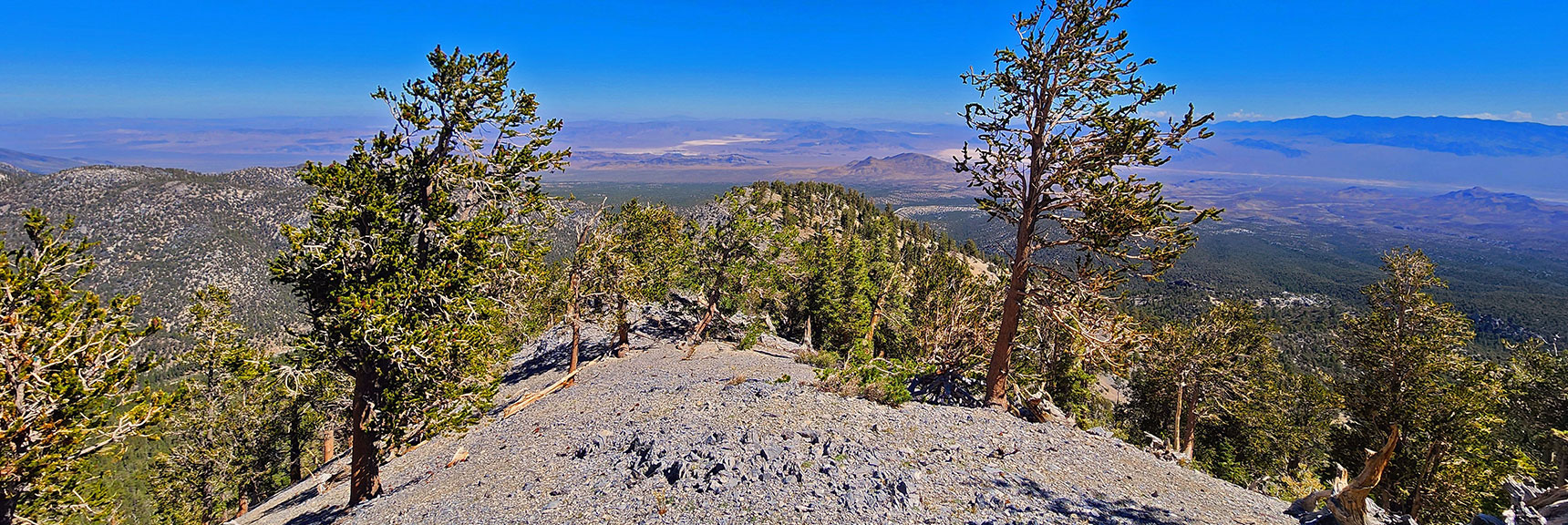 Higher View Down the Western Ridgeline | Mummy's Nose Final Summit Approach from Deer Creek Road | Mt. Charleston Wilderness, Nevada