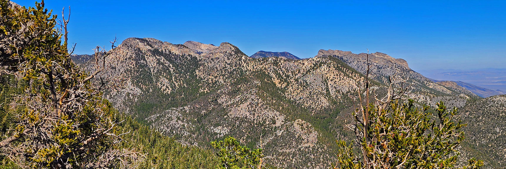 View Across Lee Canyon to Sisters, McFarland, Macks & Bonanza Peaks | Mummy's Nose Final Summit Approach from Deer Creek Road | Mt. Charleston Wilderness, Nevada