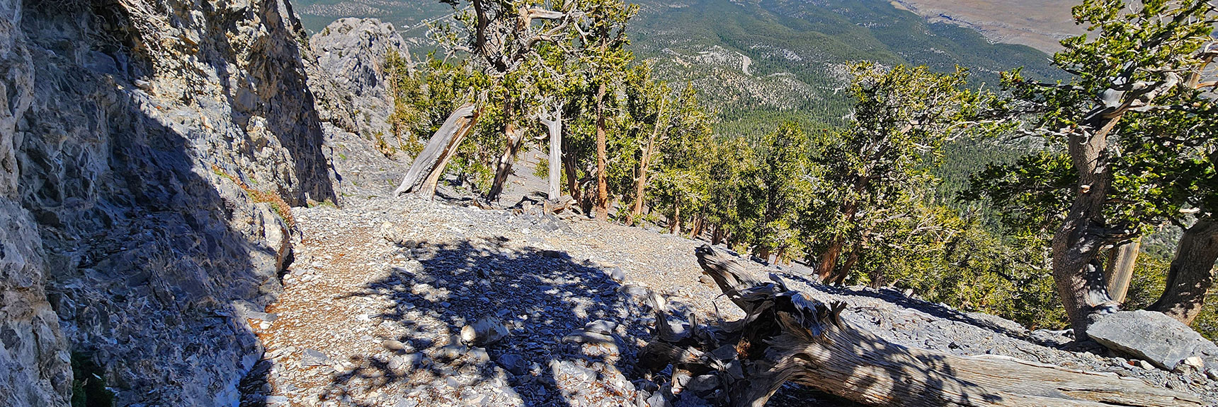 View Back Across the Base of the Saddle Ledge Toward Lower Summit Budge. | Mummy's Nose Final Summit Approach from Deer Creek Road | Mt. Charleston Wilderness, Nevada