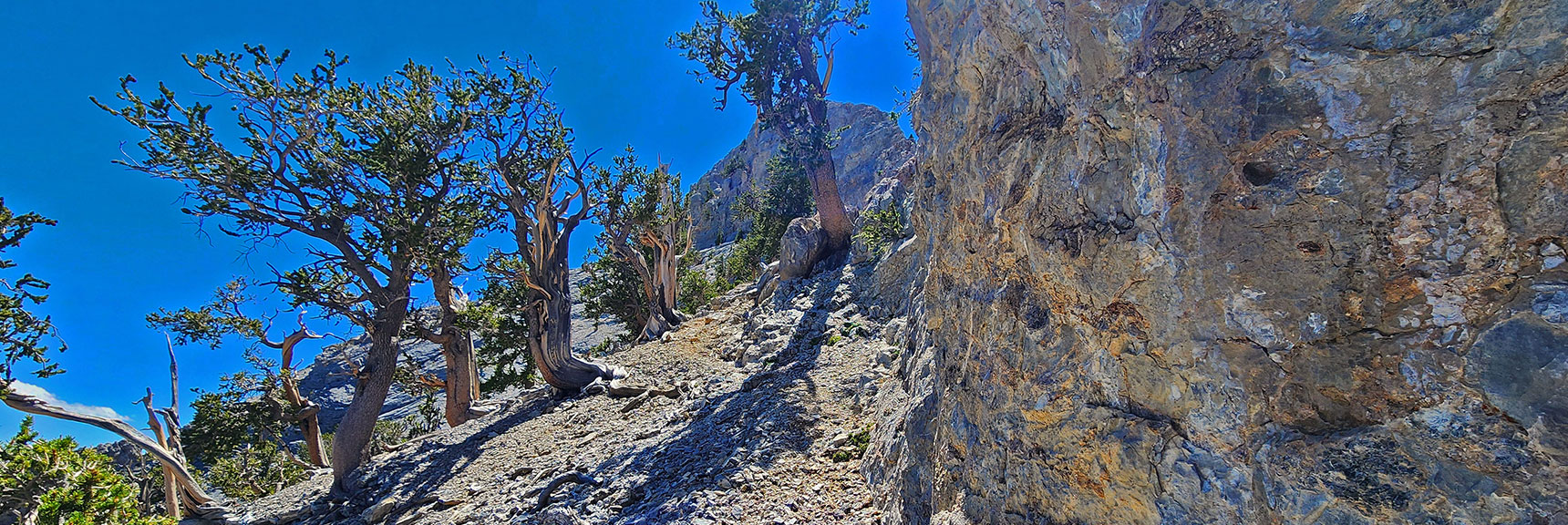 View Up Saddle Ledge Base Toward Large Summit Bulge. | Mummy's Nose Final Summit Approach from Deer Creek Road | Mt. Charleston Wilderness, Nevada
