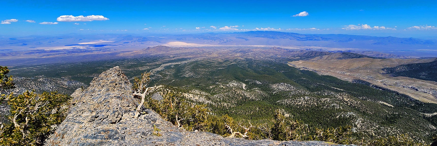 Summited the Saddle, Looking Back. Approach Was Over Ledge to the Right. | Mummy's Nose Final Summit Approach from Deer Creek Road | Mt. Charleston Wilderness, Nevada