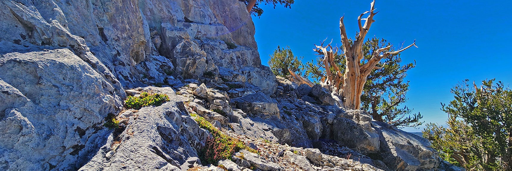 Continuing Up Along the Base of the Summit Cliff | Mummy's Nose Final Summit Approach from Deer Creek Road | Mt. Charleston Wilderness, Nevada
