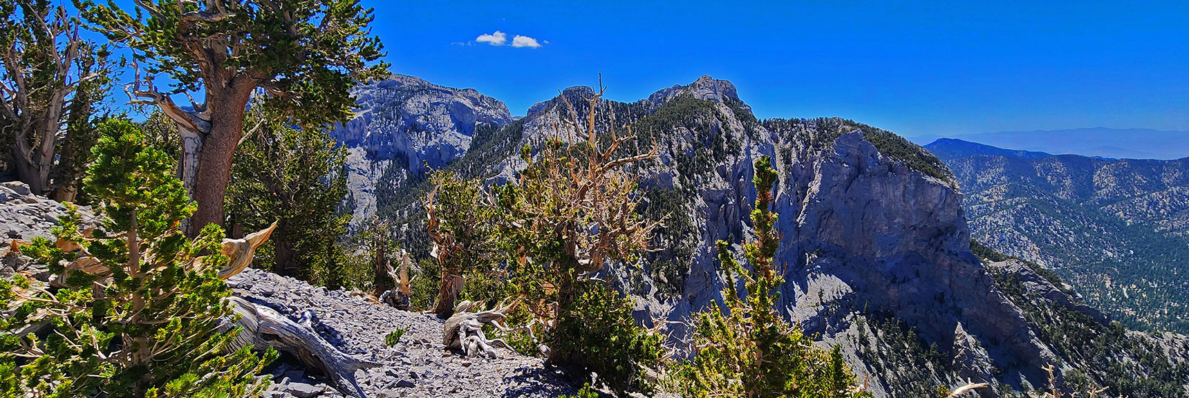 View To Mummy's Forehead, Chin and Summit | Mummy's Nose Final Summit Approach from Deer Creek Road | Mt. Charleston Wilderness, Nevada